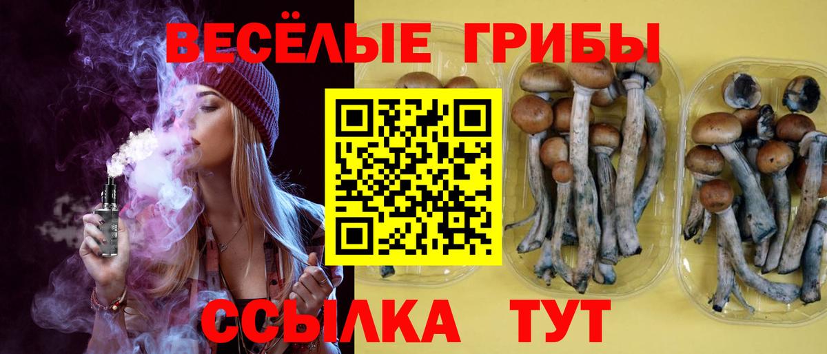 Галлюциногенные грибы мицелий  Псилоцибиновые грибы ЛСД  хочу наркоту  Вход с VPN  Северодвинск 